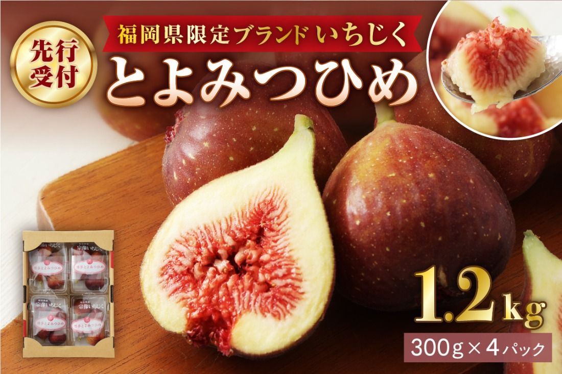 [寄附額改定!]プレミアムいちじく とよみつひめ 1.2kg[JAほたるの里]
