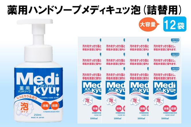 yђˎszyA8-065zpnh\[v fBLb A l֗p 1000ml×12