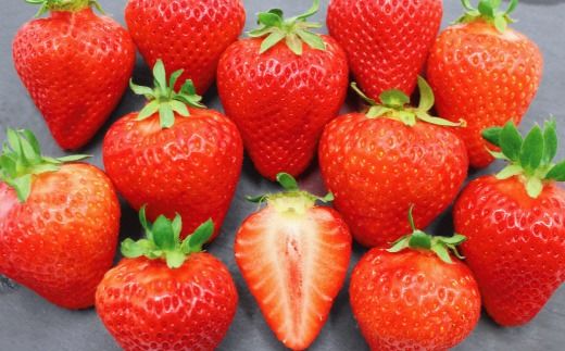 12月発送！「博多あまおう」EX　贈答用化粧箱　約450g 2箱【ほたるの里】_HA0755