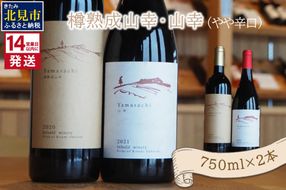 《14営業日以内に発送》樽熟成山幸（やや辛口）・山幸（やや辛口）750ml×2本 ( ワイン ぶどう ブドウ 酒 飲料 アルコール 辛口 )【138-0009】