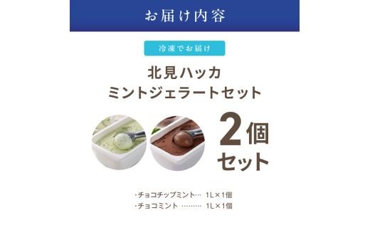 ミントジェラート1L 2種×1個 ( ジェラート アイス アイスクリーム ハッカ チョコ ミント ミントアイス スイーツ チョコチップミント カカオ ふるさと納税 )【007-0017】