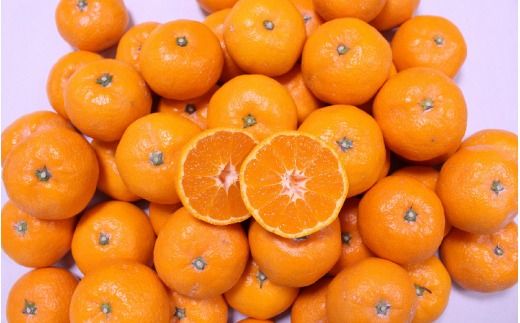 こだわりの和歌山県産 有田みかん ３kg（S～Lサイズおまかせ） ひとつひとつ手選別で厳選！生産者から直送 【2025年11月下旬～翌年1月中旬頃に順次発送分】/ みかん フルーツ 果物 くだもの 有