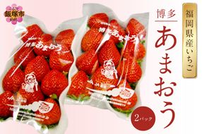 【A5-526】福岡県特産！『あまおう』＜2026年1月から発送開始分先行予約＞