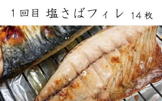 【全3回定期便】和歌山からお届け おさかな定期便　サバ・ウナギ・サケ/魚 魚貝 海鮮 鰻 うなぎ サバ 鯖 鮭 サケ 定期便 【tkb131】