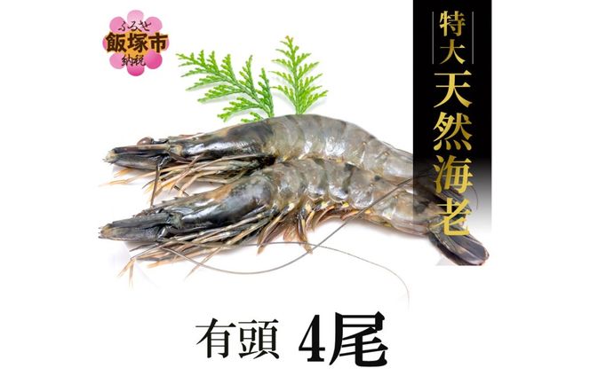 yђˎszyC-136z VRCV(L4)