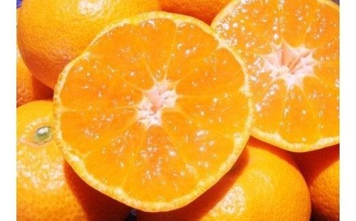 ＼光センサー選別／ ちっちゃな有田みかん こつぶみかん 約5kg （3S～Sサイズ混合）有機質肥料100% ※2026年11月中旬頃～2027年1月上旬頃に順次発送予定（お届け日指定不可） 先行予約 みかん 有田みかん 温州みかん ミカン 小粒 柑橘 フルーツ 果物【nuk145C】