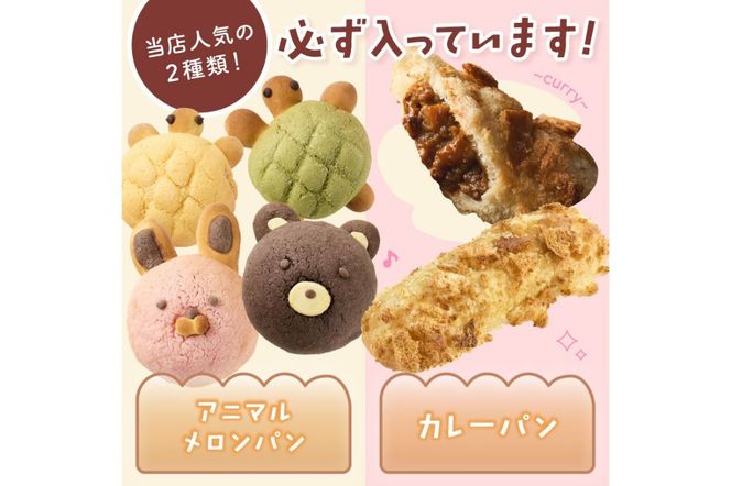 【ふるプレ限定品】【特別寄附額】おまかせお楽しみパン13～16個詰め合わせセット　PT00001P