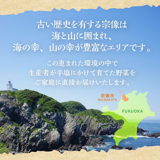 【毎月お届け】むなかた旬のお任せセット（野菜）7～9品【JAほたるの里】_HB0173