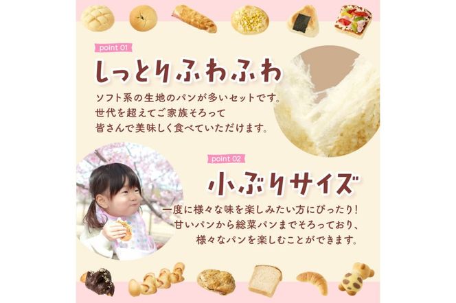 【ふるプレ限定品】【特別寄附額】おまかせお楽しみパン13～16個詰め合わせセット　PT00001P