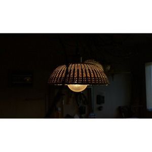 豊岡杞柳細工 育てる照明『tsukigasa』照明金具：ダクトレールタイプ（E26口金） /  ランプシェード 照明金具・電球付き 柳 半楕円体 伝統工芸品 天然素材 行李柳 コオリヤナギ