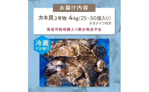 サロマ湖自慢の殻付きカキ貝 2年物 4kg詰め ( 牡蠣 かき 濃厚 魚介類 貝類 カキ ふるさと納税 牡蠣 北見市 BBQ )【114-0071-2025】