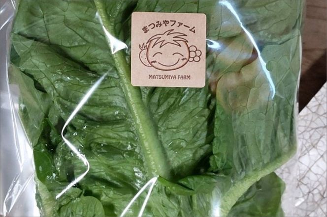 	【先行予約】京都・まつみやファームの京都の野菜秋冬セット（5品）（2025年11月上旬〜発送）　MY00002