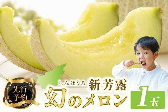 【先行予約】幻のメロン 新芳露 1玉（2026年7月下旬～発送）　BF00003