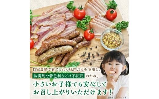 フレンズハム 手造り厳選セット ( お肉 にく ウインナー ベーコン ハム プレスハム ロースハム 生ハム ソフト サラミ 厳選 セット おつまみ 贈答 贈り物 ギフト プレゼント )【047-0002】