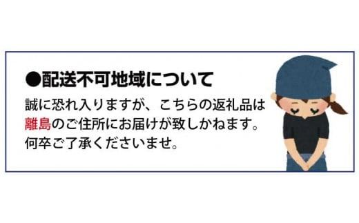  果肉プリプリ♪ 完熟紀州デコ(不知火) 約3kg　※2026年2月下旬頃〜2026年3月中旬頃に順次発送予定(お届け日指定不可) / 果物 フルーツ くだもの ミカン 不知火 デコポン 【uot70