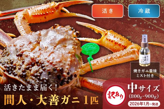 ys{Osz󂠂@yȈ zOsY ܂ܓ͂I@ԐlKjPKj@TCY (800~900g) 1C@~Xgt@(2026N1`)@UO01409