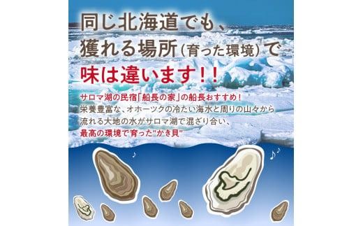 サロマ湖自慢の殻付きカキ貝 2年物 4kg詰め ( 牡蠣 かき 濃厚 魚介類 貝類 カキ ふるさと納税 牡蠣 北見市 BBQ )【114-0071-2025】