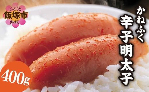 yђˎszyA2-107zsꌵI ˂ӂhqqi1{ 400gj