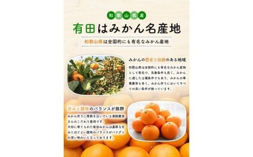 【先行予約】【農家直送】【和歌山県産】有田育ちのご家庭用完熟 有田みかん 3kg+200g(傷み補償分) 【2S～2Lサイズ混合】【11月発送】※着日指定不可＜2025年11月上旬～11月下旬発送（1