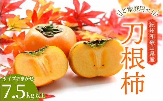 【☆令和7年産☆先行予約】たねなし柿 刀根柿【ご家庭用サイズおまかせ】(約7.5kg以上)【2025年9月下旬～10月上旬に順次発送致します。】/ 和歌山県 紀美野町  種なし カキ 柿 かき 刀根 