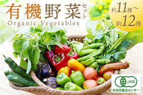 ＜てんとうむしばたけ＞オーガニック野菜セット　有機野菜11～12種(4人用) BR00050