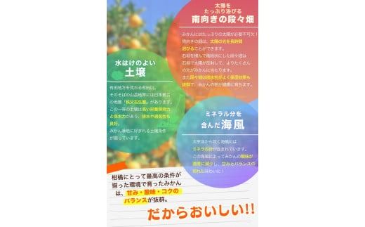 【2025年12月発送予約分】【家庭用】こだわりの有田みかん約4kg＋250g(傷み補償分) ※サイズ混合 ＼光センサー選別 !／ 【農家直送】 有機質肥料100% ※北海道・沖縄・離島配送不可 / 