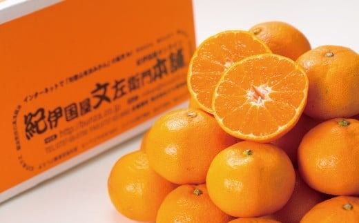  ブランド有田みかん【M】秀品10kg / 産地直送 / 薄皮で甘い美味しい和歌山県産 / 紀伊国屋文左衛門本舗　※2025年11月上旬～2026年1月中旬ごろ発送（お届け日指定不可） / みかん 蜜