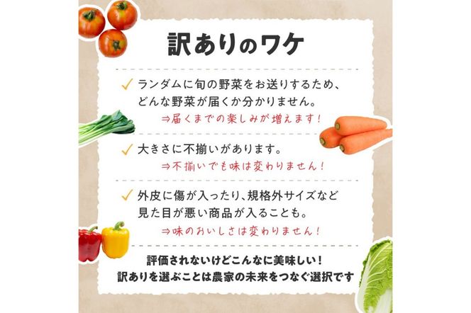【定期便4回】直売所直送 「京都・京丹後産 季節の野菜」お任せ詰め合わせBOX（5品） 春夏秋冬定期便4回 　JA00068