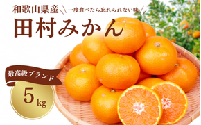  高級ブランド田村みかん 5kg ※2025年11月下旬頃〜2026年1月下旬頃に順次発送予定(お届け日指定不可) / 果物 フルーツ くだもの みかん 【uot504】