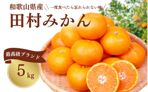  高級ブランド田村みかん 5kg ※2025年11月下旬頃〜2026年1月下旬頃に順次発送予定(お届け日指定不可) / 果物 フルーツ くだもの みかん 【uot504】