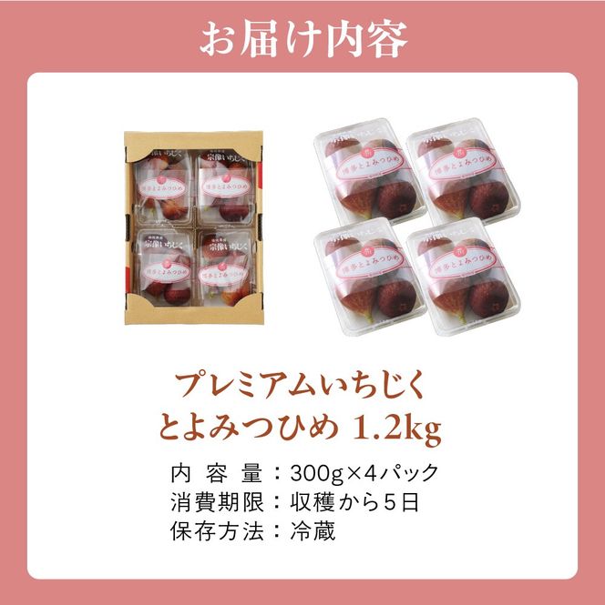 【寄附額改定！】プレミアムいちじく とよみつひめ　1.2kg【JAほたるの里】_HA0278