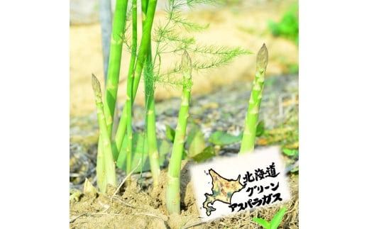 【予約：2027年5月中旬から順次発送】【朝採れ直送！】北海道の露地グリーンアスパラ 1.2kg M～2L混合サイズ ( アスパラガス グリーン 北海道 オホーツク 甘い 旬 サラダ 肉巻き) 【172-0002-2027】