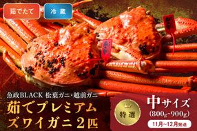 【蟹の匠 魚政】茹で　プレミアムズワイガニ 魚政BLACK（松葉ガニ・越前ガニ）特撰 中サイズ（800～900g） 2匹セット　(11月～12月発送)　UO01304
