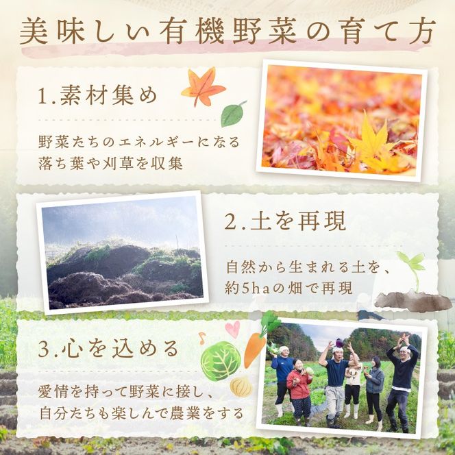 【先行予約：8月配送】＜てんとうむしばたけ＞夏のオーガニック野菜セット　有機野菜6～7種前後　BR00057_08