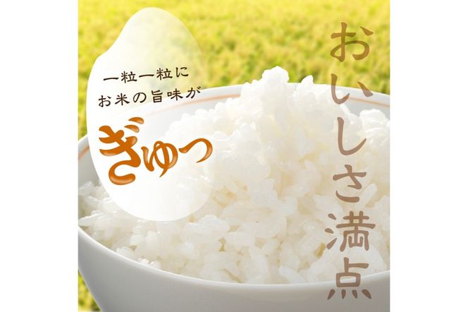 2025年産 京都・久美浜産 特別栽培米コシヒカリ 1.5kg×2袋　AL00007