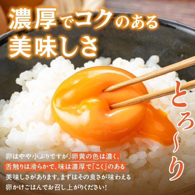 【山ちゃん家の生みたて葉酸たまご】赤玉元気卵（40個入り）［132Y06］