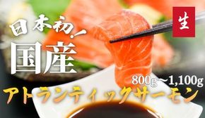 E38【毎週金曜発送】日本初！今話題の国産アトランティックサーモン「FUJI ATLANTIC SALMON」【生】800～1,100ｇ