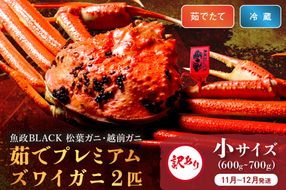 訳あり　【蟹の匠 魚政】茹で　プレミアムズワイガニ 魚政BLACK（松葉ガニ・越前ガニ） 小サイズ（600～700g） 2匹セット　(11月～12月発送)　UO01318