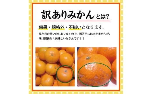 【訳あり】農家直送 有田みかん約5kg ご家庭用 サイズ混合 ※2025年11月中旬から2026年1月中旬までに順次発送予定（お届け日指定不可）※北海道・沖縄・離島への配送不可　訳ありみかん 温州みかん サイズ混合 有機質肥料100% ふるさと納税 柑橘 有田 産地直送 【nuk161D】