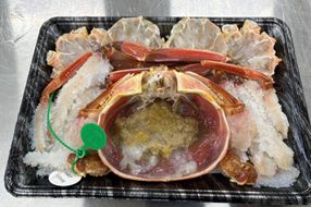 蟹しゃぶセット（間人蟹約800g×1杯分／蟹味噌付き・カニだし付き）　NJ00013