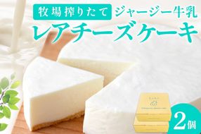 牧場のチーズケーキ（生）２個セット　TJ00012