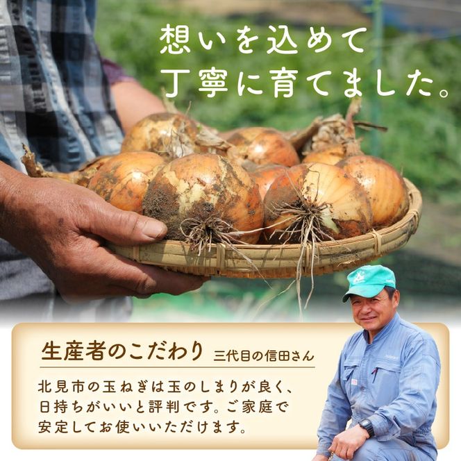 【予約：2026年10月中旬から順次発送】日本一の玉ねぎ生産地！信田農園の玉ねぎ 10kg Lサイズ ( 信田農園 野菜 玉ねぎ 玉葱 たまねぎ タマネギ 10キロ 北見のたまねぎ オニオン 野菜 甘い ふるさと納税 )【124-0006-2026】