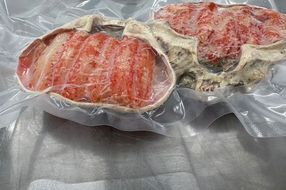 蟹甲羅盛2個セット　NJ00006