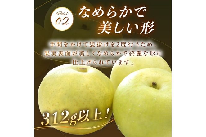【先行予約／数量限定100】京のブランド産品・京たんご梨（20世紀梨） 5kg（2026年9月上旬～発送）　JK00036