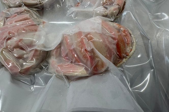 コッペの甲羅盛4匹分　NJ00005