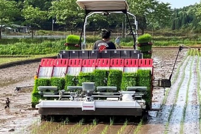 京都・久美浜産 特別栽培米コシヒカリ 5kg（玄米）　BV00002