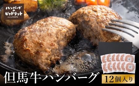 yɌLszlCno[OX̒Anno[O 12Zbg / Y An no[O Y a {҂ WHY^}lM Ⓚ Vst  ϔ Mtg Zbg v[gyno[OXrAhbgz