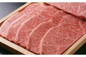 極上但馬牛 サーロインステーキ 5kg / 但馬牛 黒毛和牛 霜降り サーロイン ステーキ 赤身 ステーキ肉 焼肉 国産牛 和牛 肉 牛肉 特産品 お祝い ギフト【但馬ビーフはまだ】