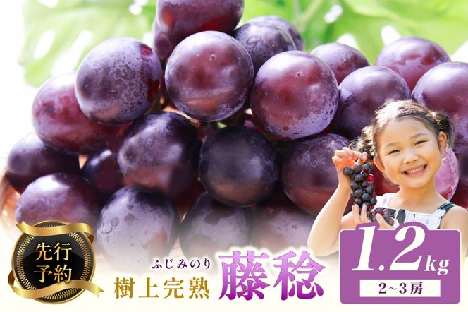 ys{Oszys\z㊮n 1.2kgi2`3[ji2026N8{`j@BF00013