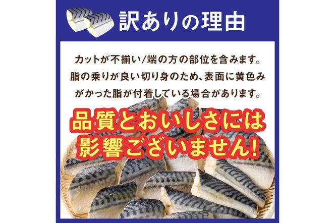 【A2-152】【訳あり】骨取り 塩さば切り身(600gx2袋)